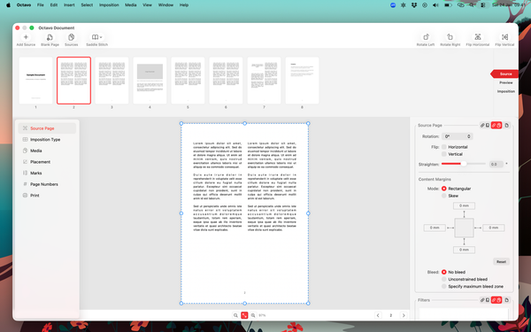 Source document view with page thumbnails