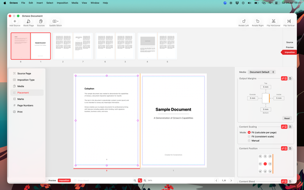 Detailed imposition layout view
